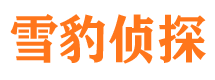 元谋调查公司